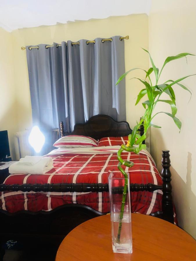 Cozy Comfort In Brooklyn Nowy Jork Zewnętrze zdjęcie